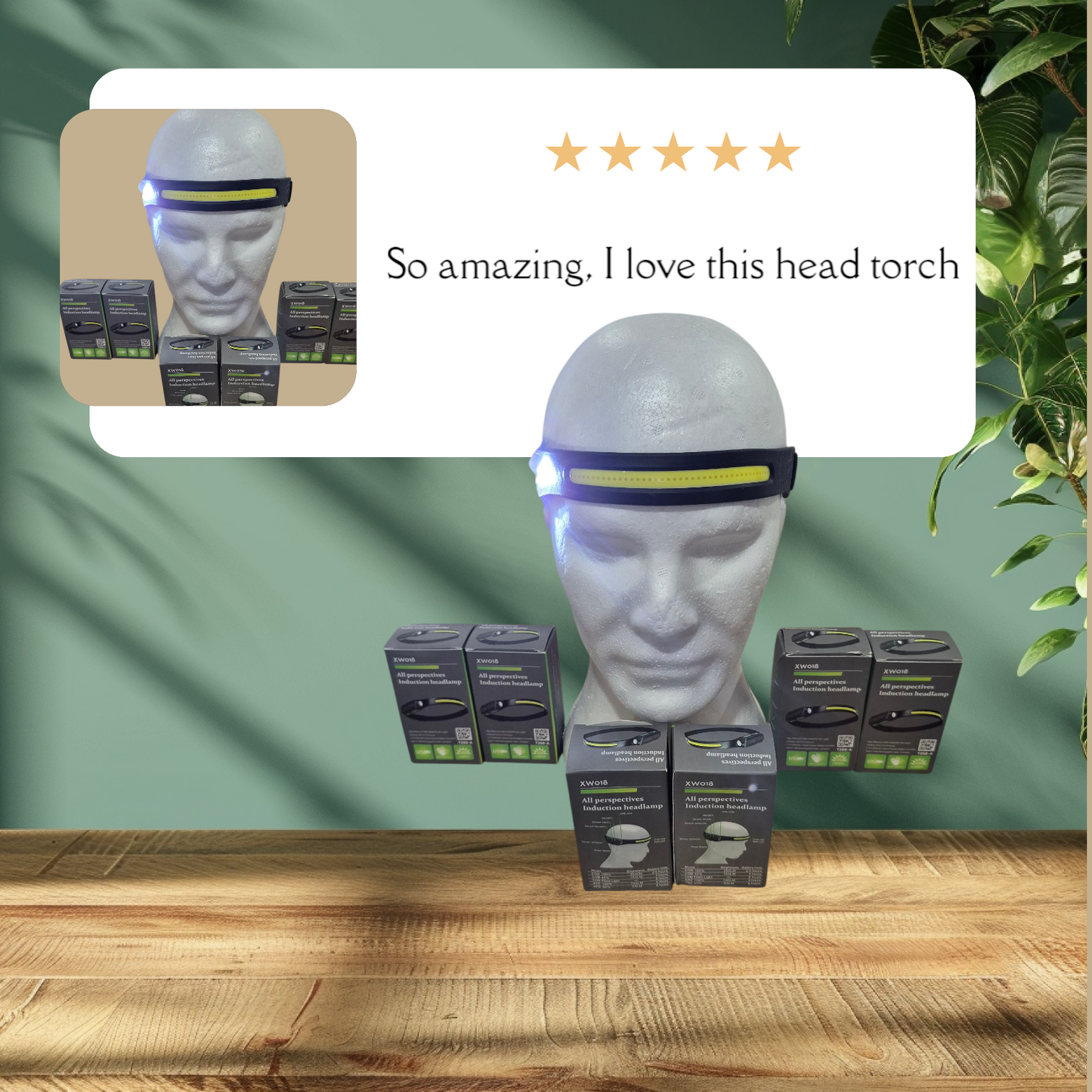 Head Torch - LED - W689-1